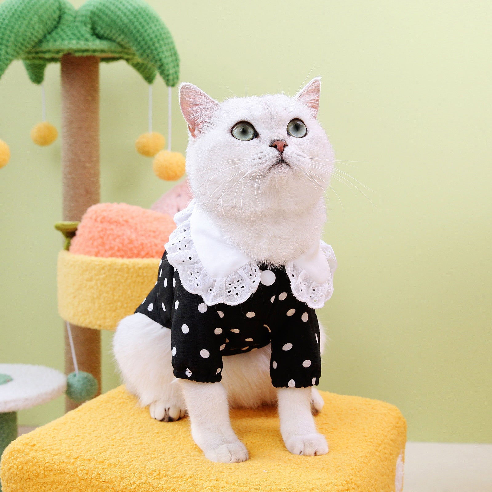 Blue Pet T-Shirt For Comfortable Everyday Wear Apparel